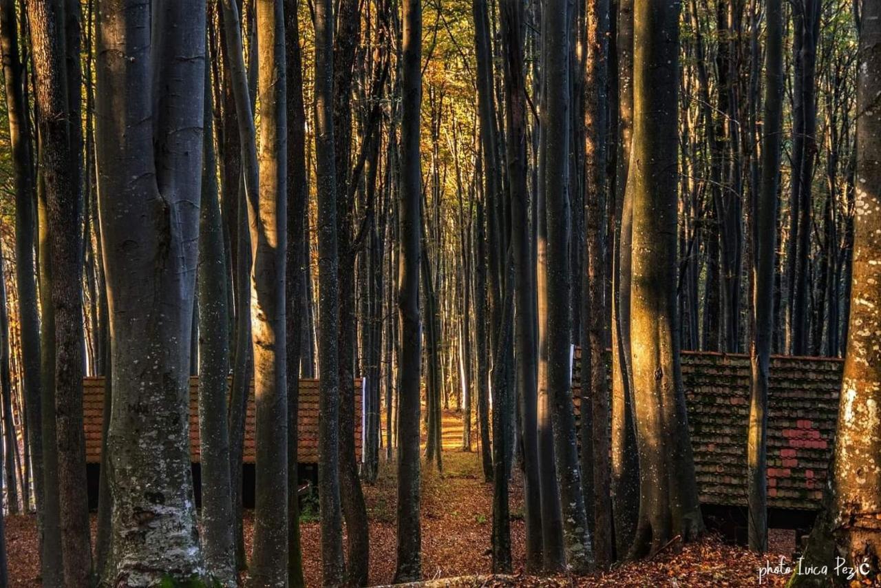 Ruralna Kuca Za Odmor Kablarovo Brdo Vendégház Krnjak Kültér fotó